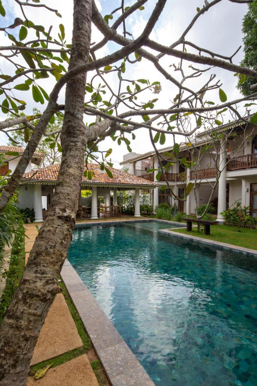 Hotel Bilin Tree House Galle Exterior foto