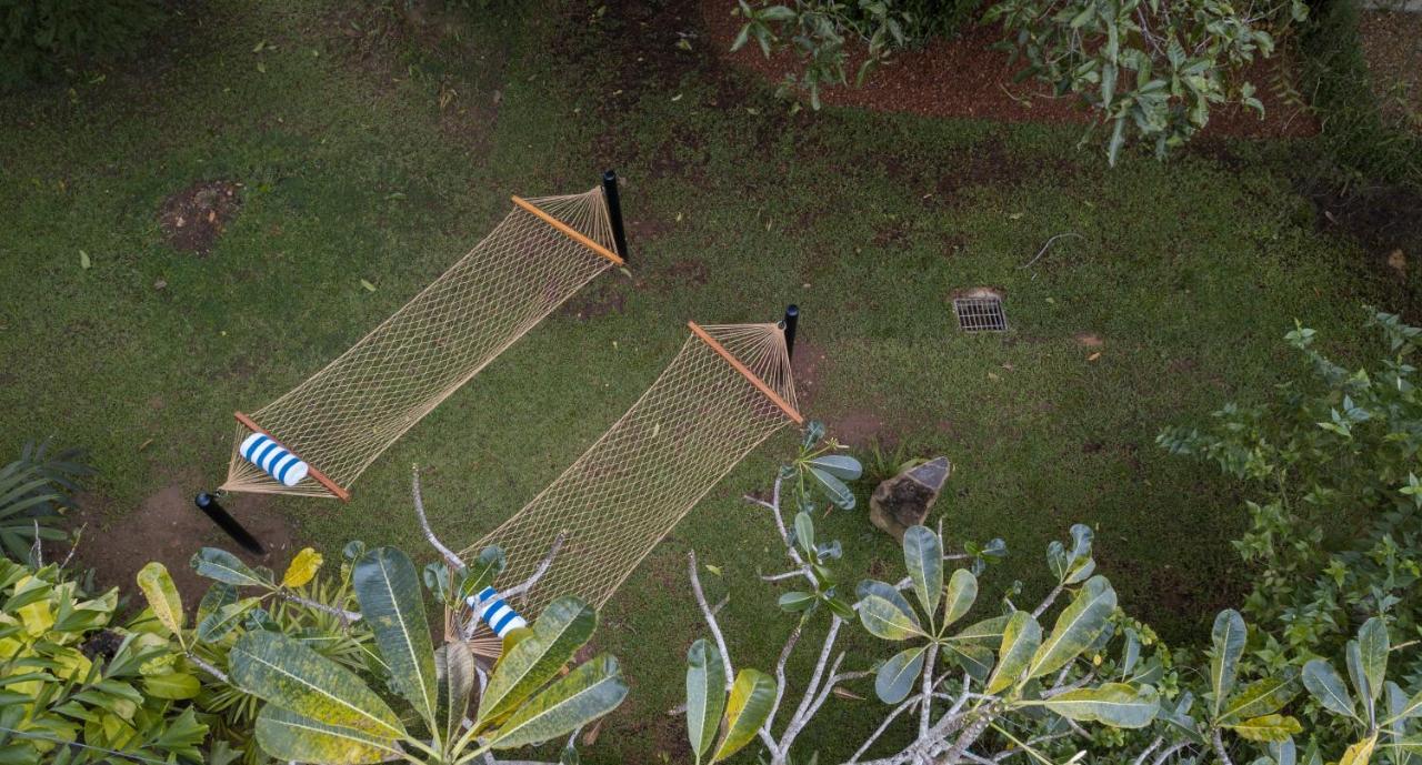 Hotel Bilin Tree House Galle Exterior foto